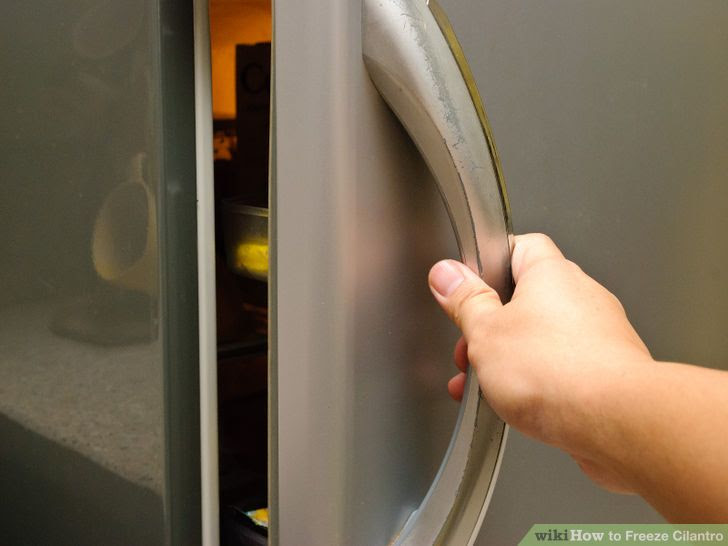 Freeze Cilantro Step 25.jpg