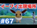 ++ 50 ++ ポケモンホワイト イーブイ 入手方法 844184-ポケモンホワイト イーブイ 入手方法