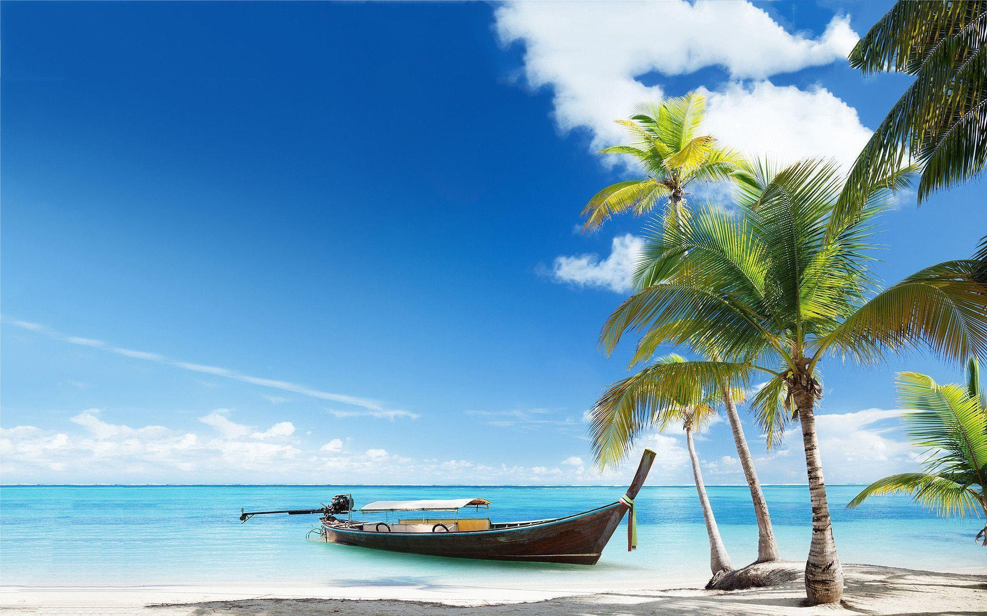 Free Tropical Wallpapers - Wallpaper Cave