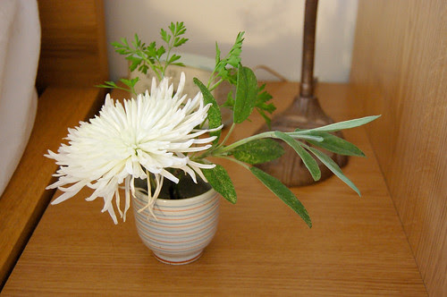 flower + herbs