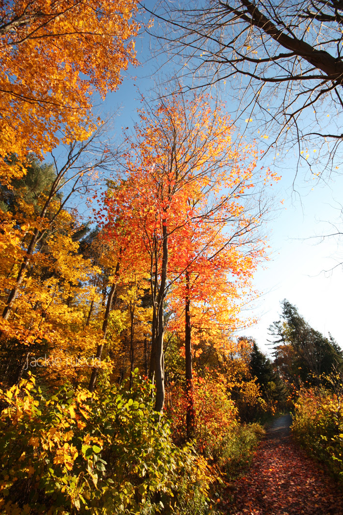 laurentides 2009 274 copy