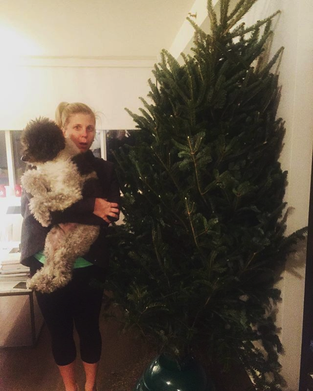 christmas tree