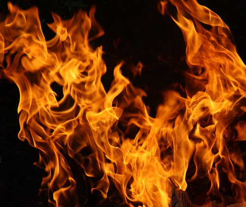 画像素材なら 無料 フリー写真素材のフリーフォト