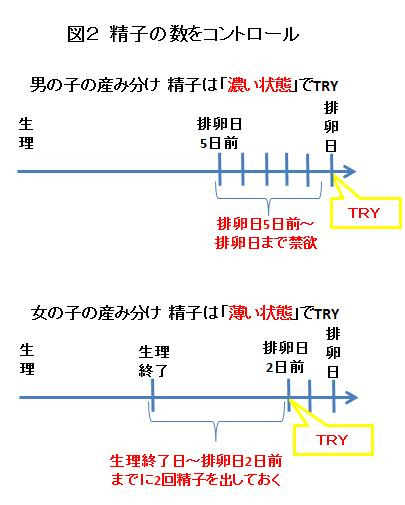 精子の数を調節 妊娠したい 私はこれで妊娠しました