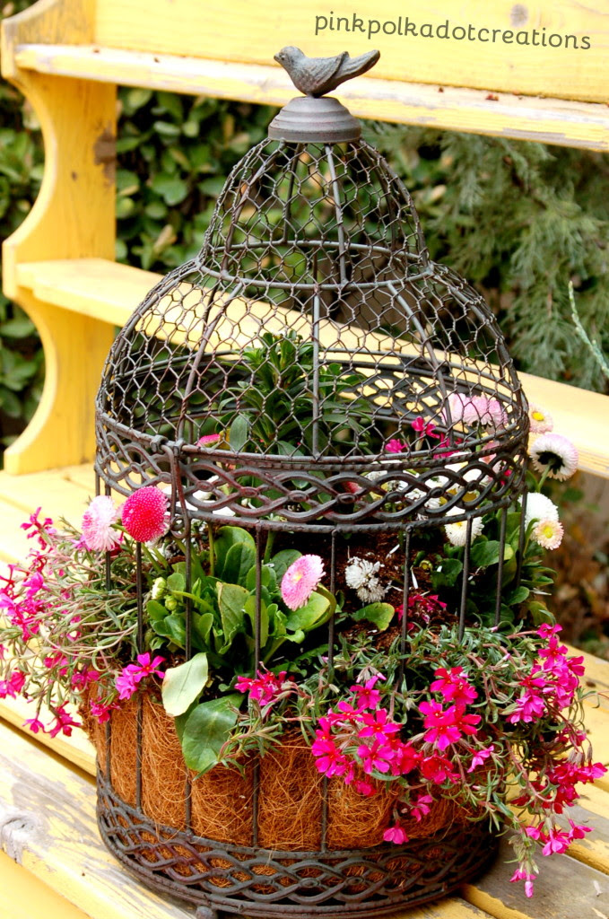 How to Plant a Bird Cage: Detailed tutorial on creating this fun piece for your yard!