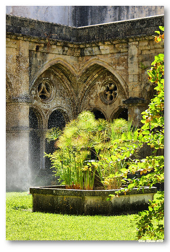 Jardim do claustro da Sé Velha #2 by VRfoto
