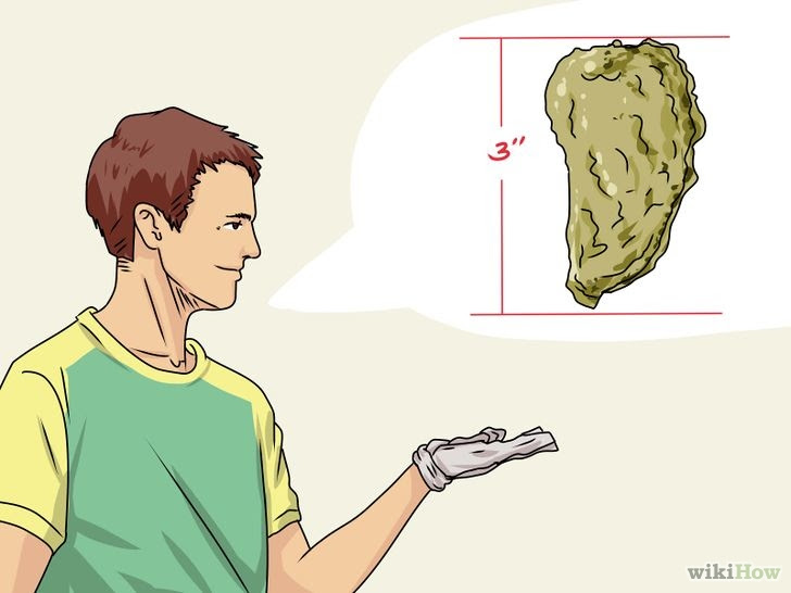 Collect Oysters Step 10.jpg