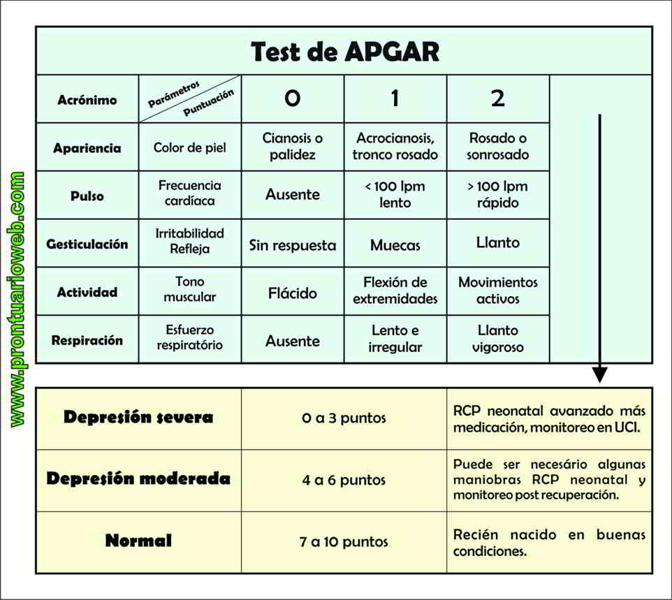 Resultado de imagen para apgar