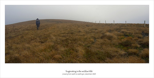 Bogtrotting in the Wicklow hills