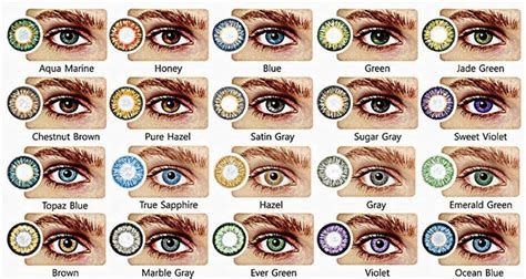 To use a standard eye exam chart, stand 20 feet away from the chart and read the smallest line of letters you can see. eye color genetics chart eye color chart eye color chart genetics