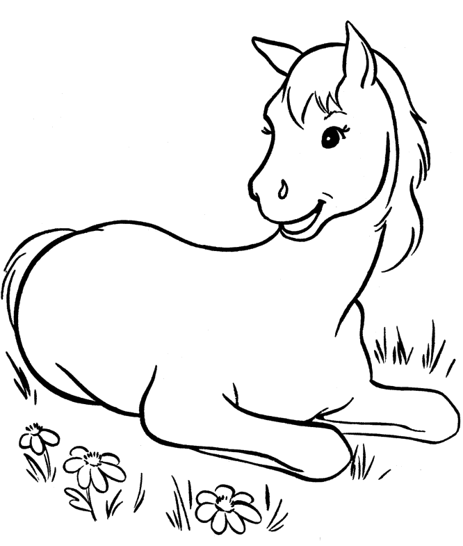 Download Cartoon Baby Horse - Cliparts.co