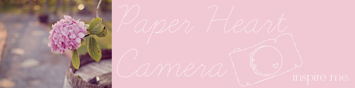 Paper Heart Camera