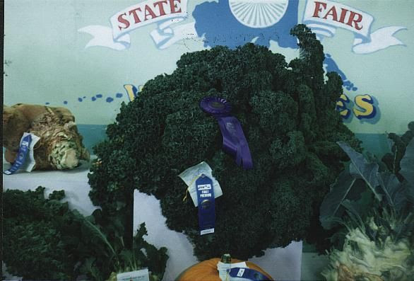Giant Vegetables (26 pics)