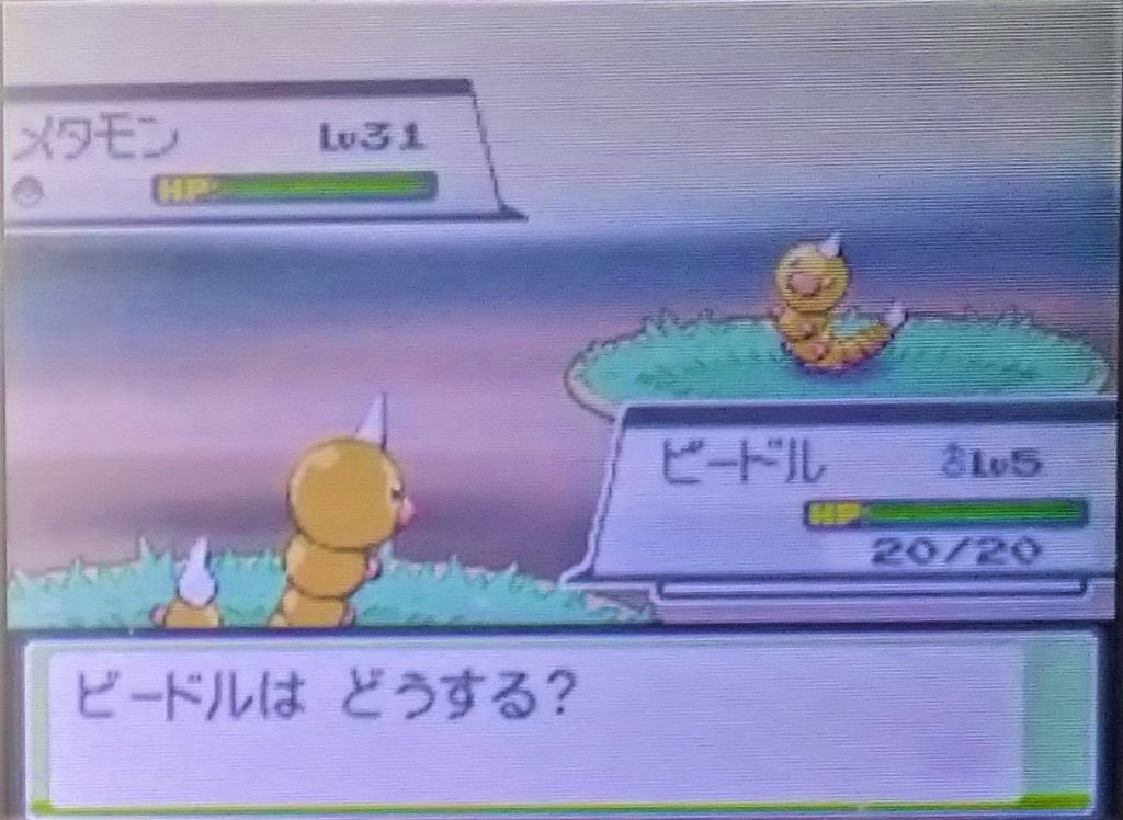 ポケモン第4世代 ０からのバトルタワー攻略 育成編 Dppｔ Hgss もぴぷねのブログ そんなのひとのかって