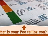 Red or maroon stool as well … see more stool color chart on pinterest color meanings stools and color charts