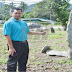 Logo Majlis Daerah Kuala Pilah
