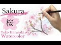 √無料でダウンロード！ リアル 綺麗 桜 イラスト 124003
