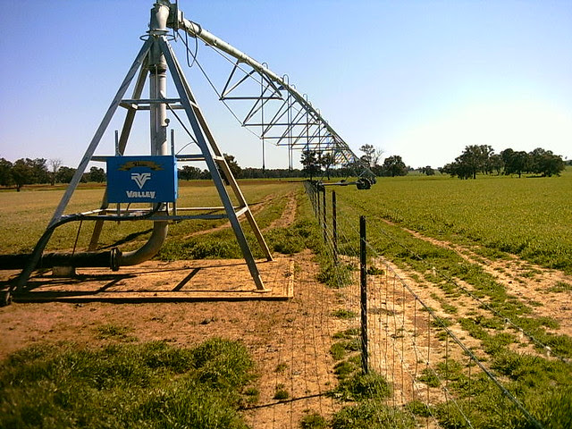 pivot