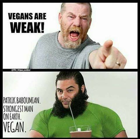 Why Not Vegan Arguments And Reasons Given