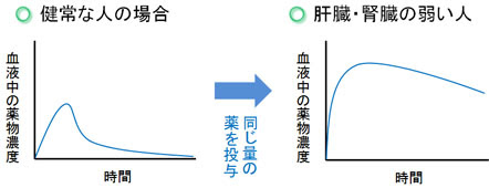 肝臓 vod