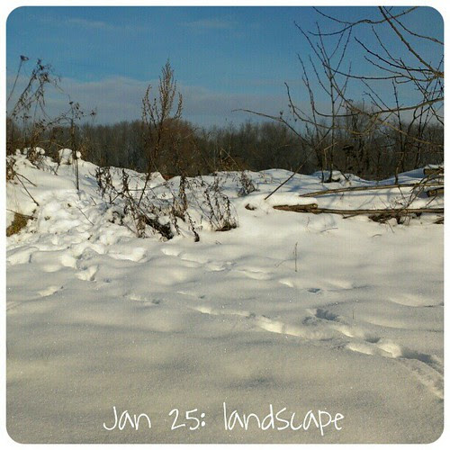 Jan 25: landscape .. #fmsphotoaday  #nofilter #winter