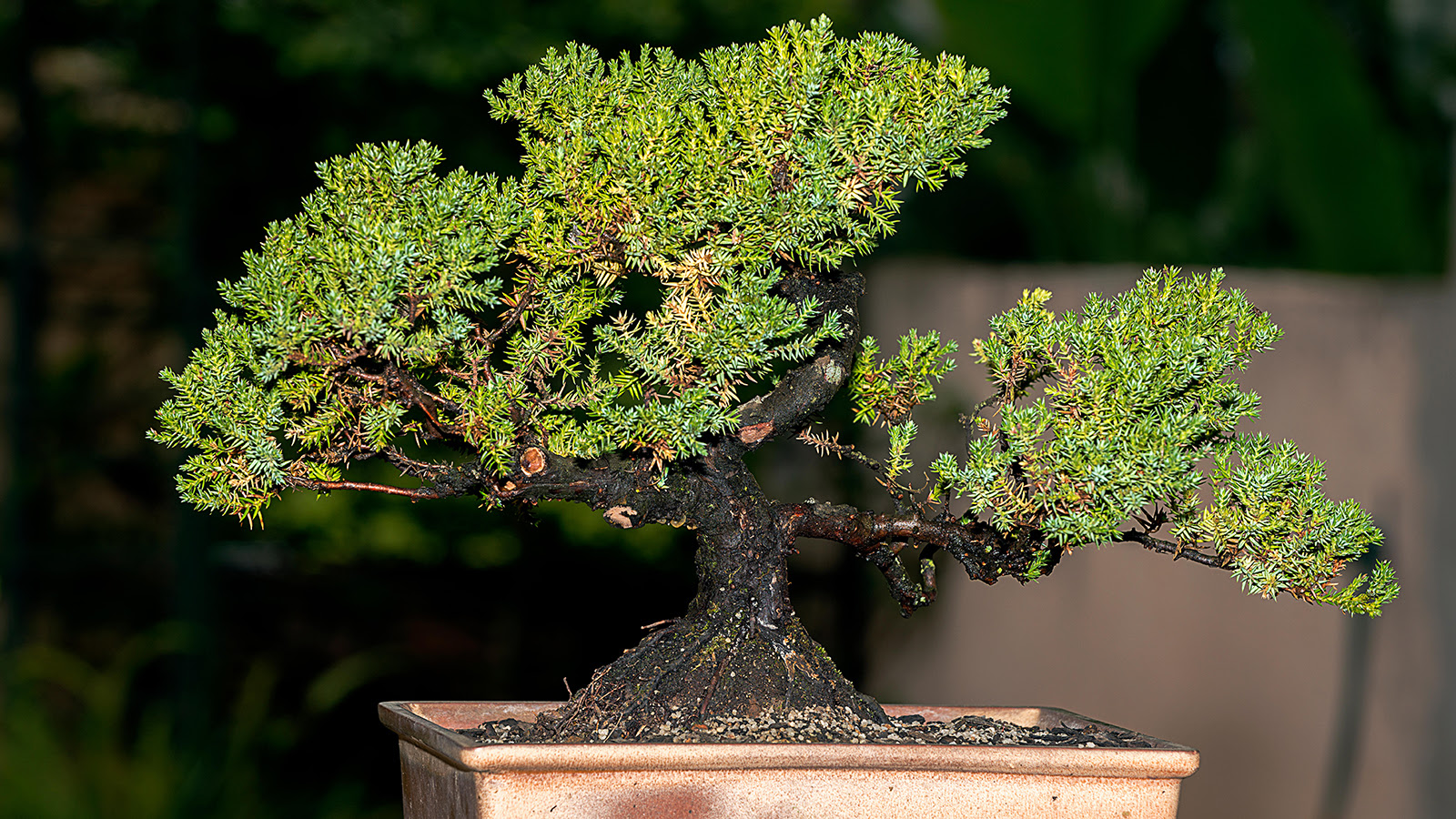 test immigration for english cambridge hobby     Cambridge English English Learning An unusual