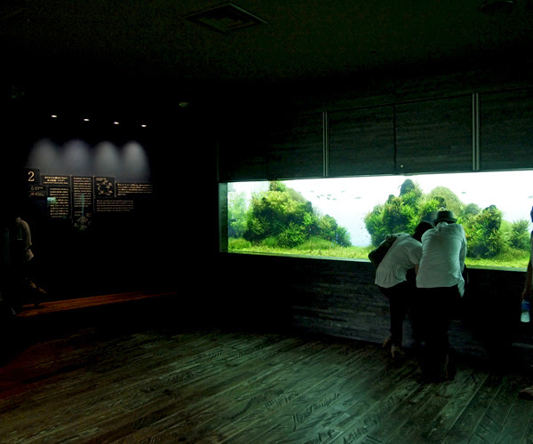 すみだ水族館 東京スカイツリー周辺の下町を地元ライターが丁寧に紹介 ぐるっとスカイツリー