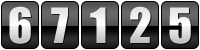 website hit counter