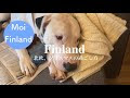 フィンランド クリスマス 料理 919009-フィンランド クリスマス 料理