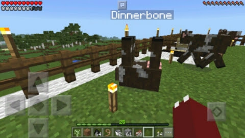 マインクラフトpe Pcでできるあの裏技はpeでできるのか ぐうたら主婦のマインクラフトpe日記