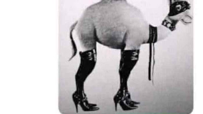 Sorry Wrong Person Meme