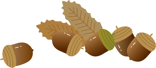 どんぐり ドングリのイラスト 秋のイラスト 無料イラスト フリー素材