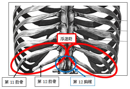 仲整形外科 はまかぜ新聞 洋港版
