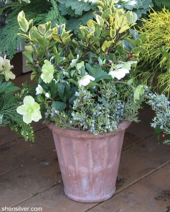 self-contained | Sheri Silver - living a well-tended life ...