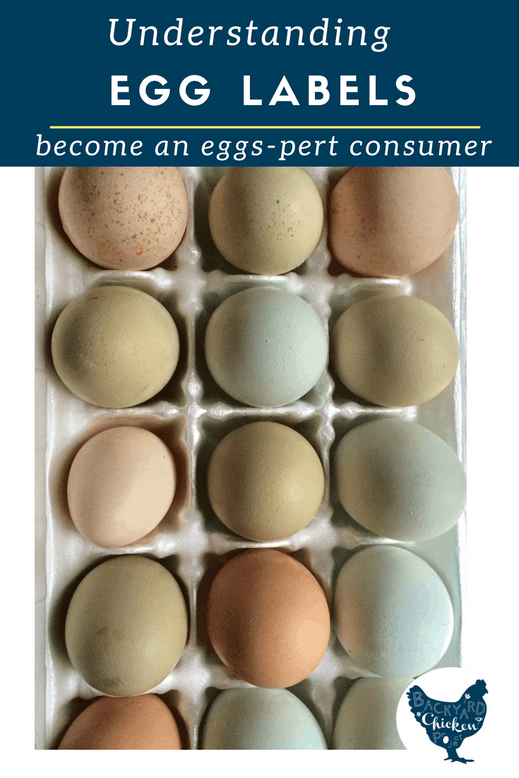 How to read egg labels
