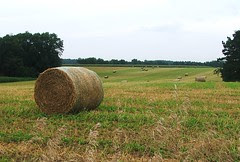 hayroll