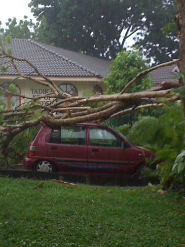 Kereta dihempap pokok sewaktu hujan lebat
