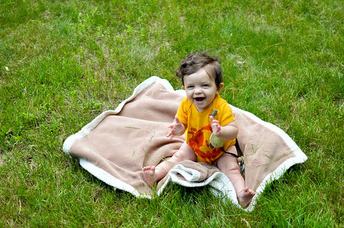 Picture or Video 1121