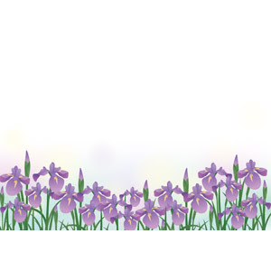 アヤメ ハナショウブ Gahag 著作権フリー写真 イラスト素材集