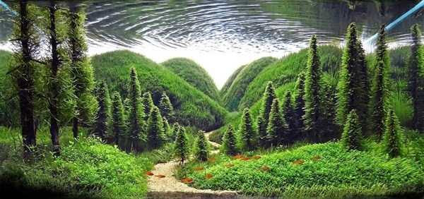 Aquariums With Amazing Underwater Decorations (123 photos)