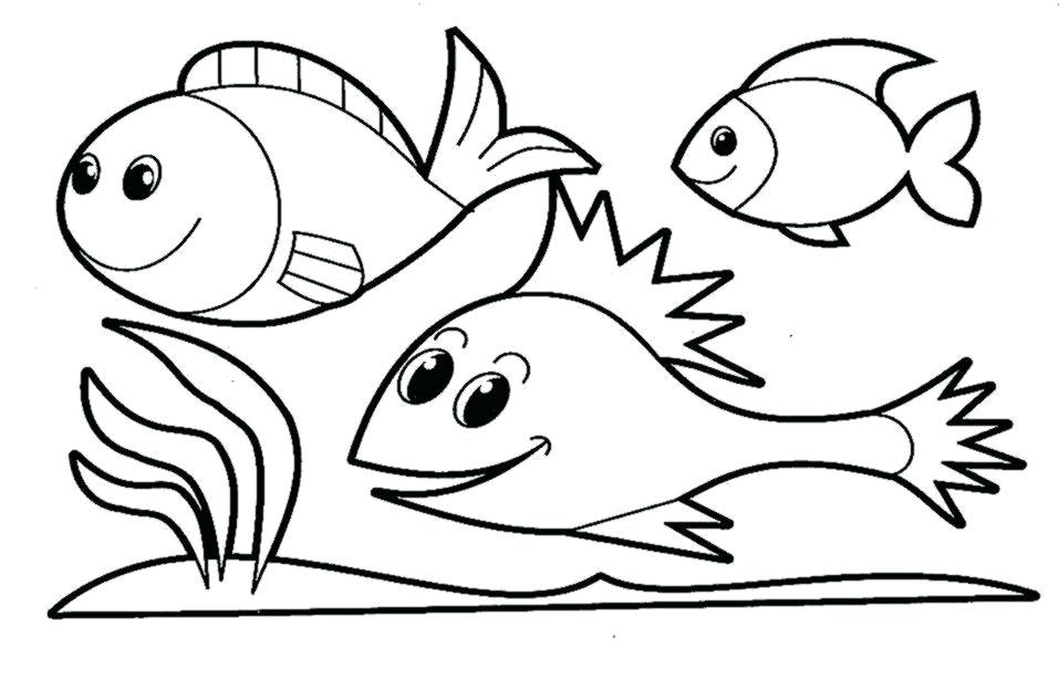 5th grade coloring pages free download on clipartmag