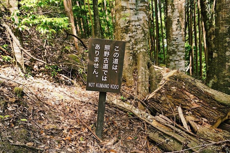 越走越胖的熊野古道 小爬环球记