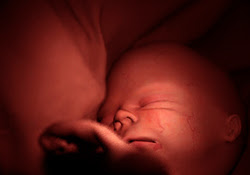 33e Semaine De Coaching Grossesse Comment Va Bebe En 33eme Semaine De Grossesse Aujourdhui Com