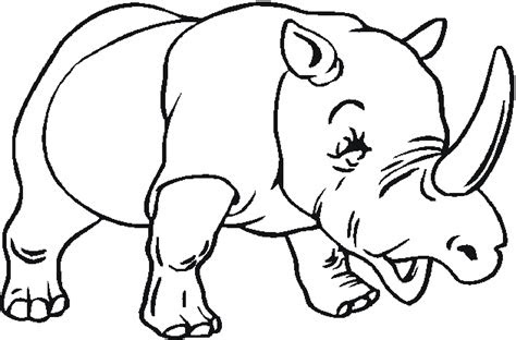 zoo animals coloring pages  bestofcoloringcom