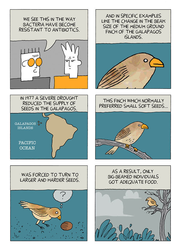 evolution 22