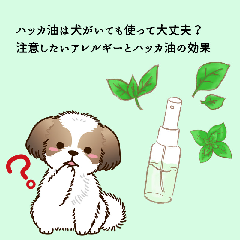 ハッカ油は犬がいても使って大丈夫 注意したいアレルギーとハッカ油の効果