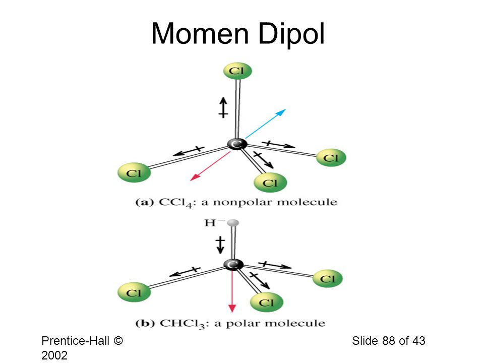 Image result for momen dipol