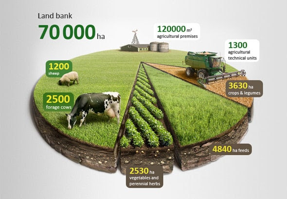 Infographic-Agro-Chart-Illustration-(data-visualization)