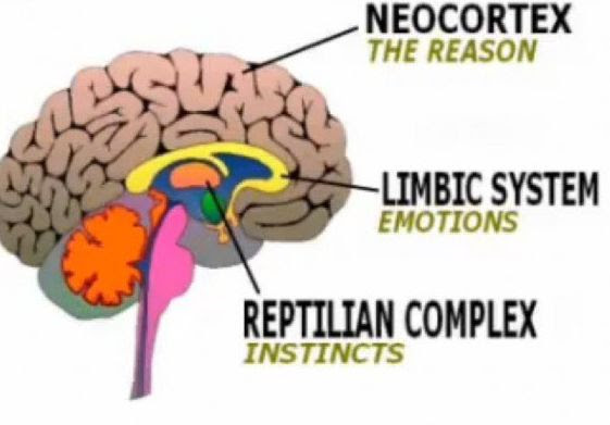 Click image for larger version. Name: rep.jpg Views: N/A Size: 27.4 KB