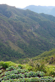 mt-province.jpg